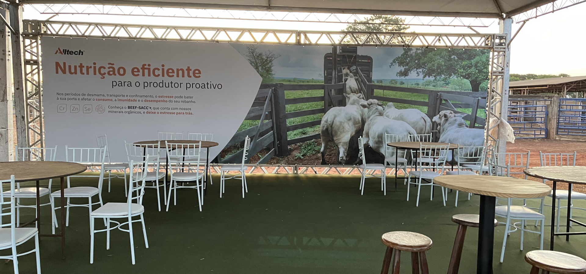 20240813_205740482_iOS