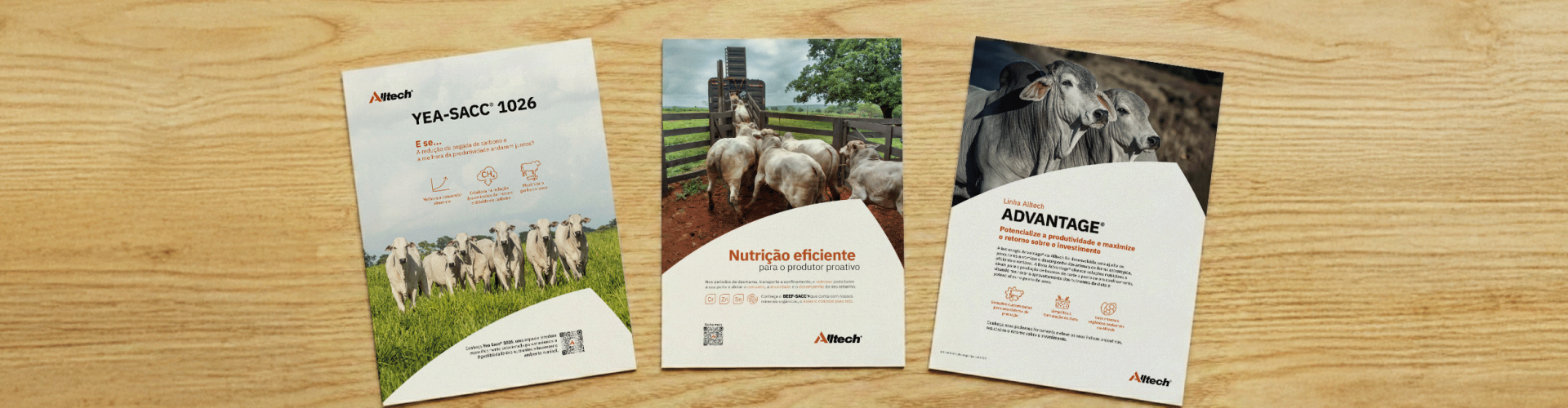 Banner-Flyers-de-suporte-2500x900 2