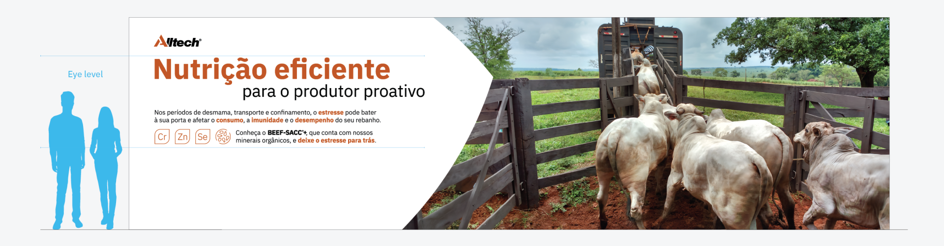 Stand-Beef-Day-projeto1